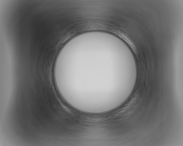 X0000111450489200907131044