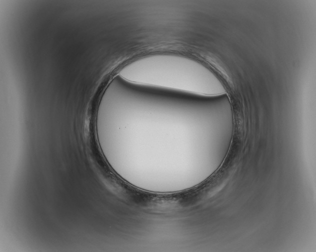 X0000111450491200907131044