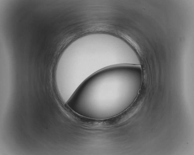X0000111450493200907131044