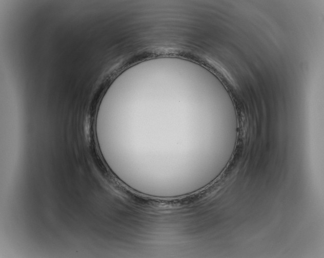 X0000111450494200907131044