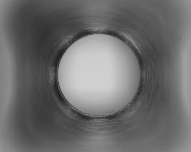 X0000111450495200907131044