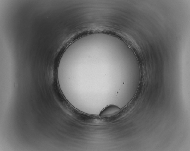 X0000111450496200907131044