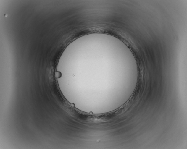 X0000111450498200907131044