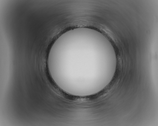 X0000111450499200907131044