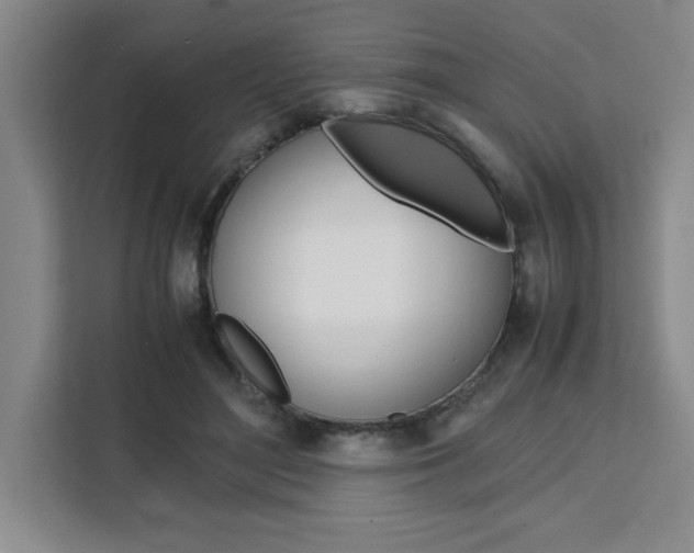 X0000111450500200907131044