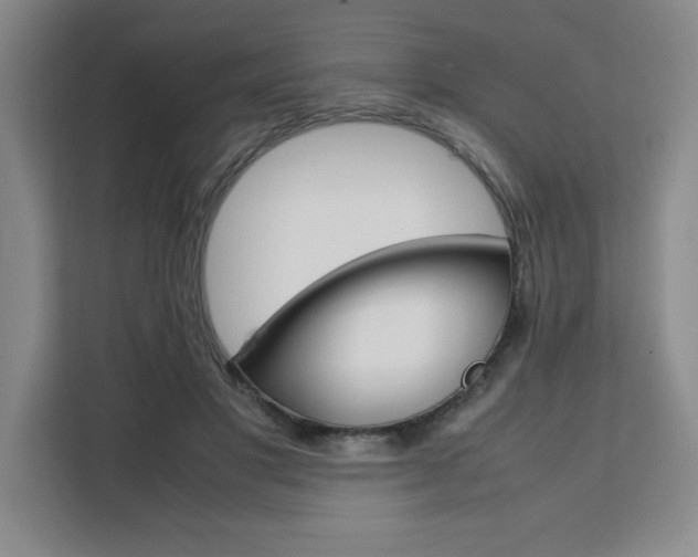 X0000111450501200907131044