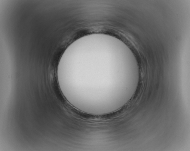 X0000111450503200907131044