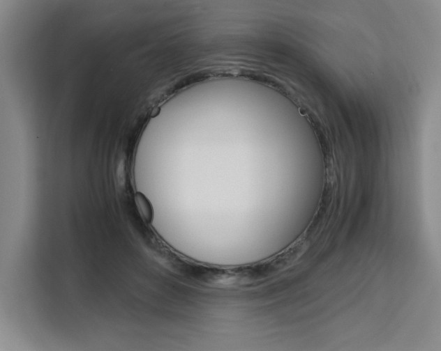 X0000111450504200907131043