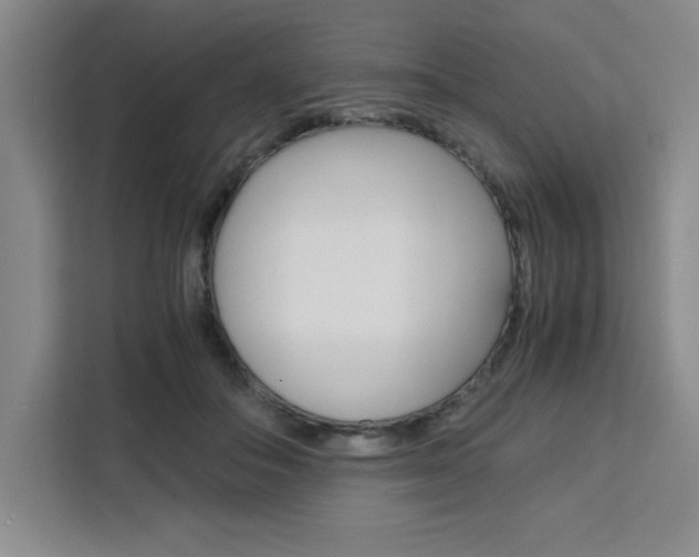 X0000111450506200907131043