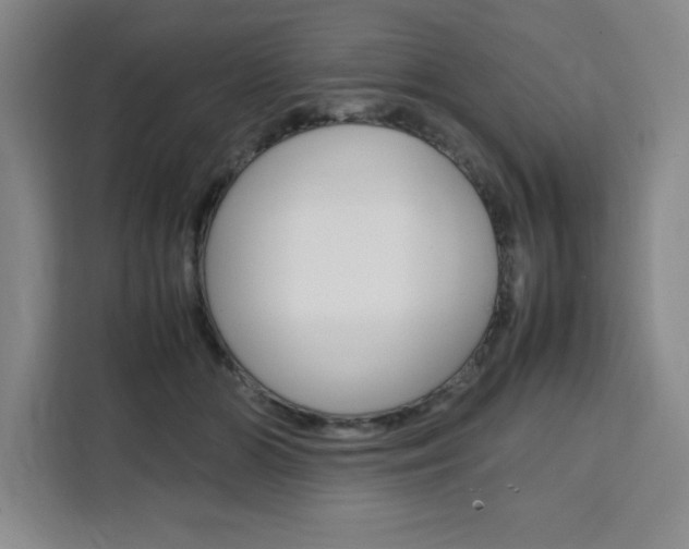 X0000111450510200907131043