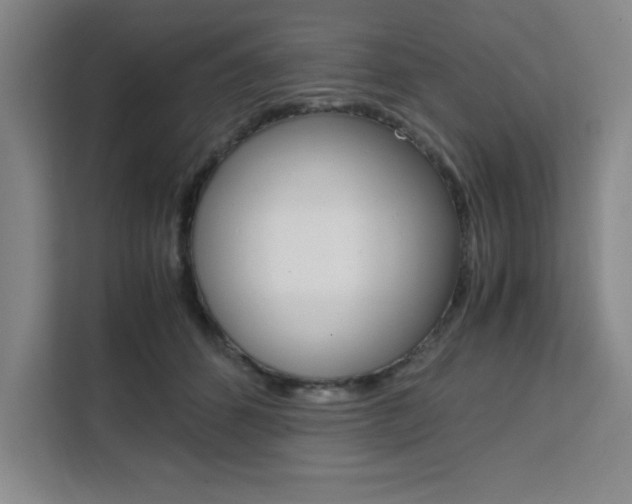 X0000111450512200907131043