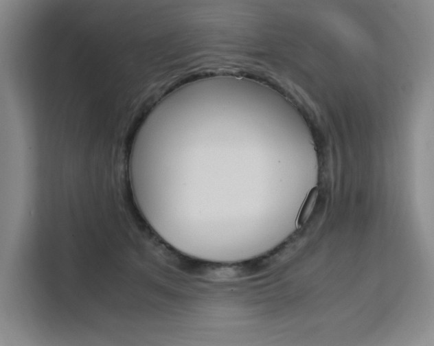 X0000111450513200907131043