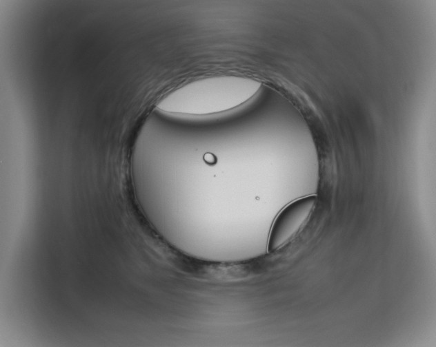 X0000111450517200907131043