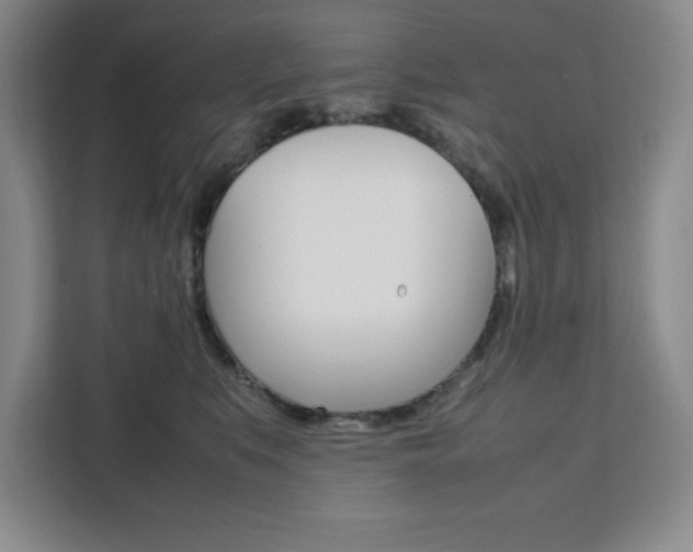 X0000111450519200907131043