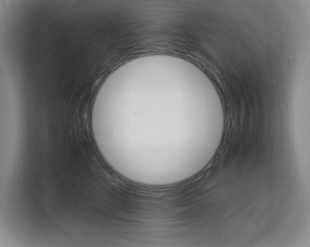 X0000111450520200907131043