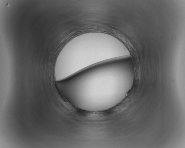 X0000111450521200907131043
