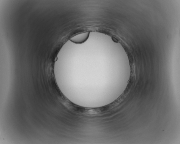 X0000111450522200907131043