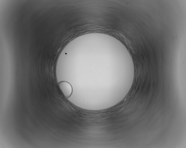 X0000111450524200907131043