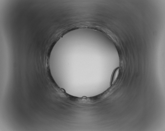 X0000111450525200907131043