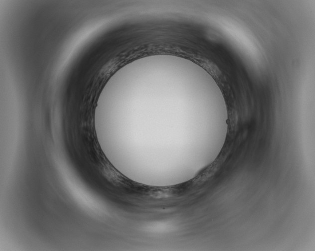 X0000111450526200907131043