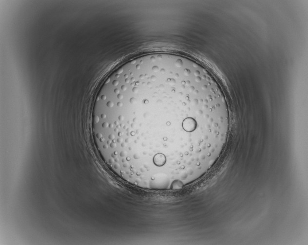 X0000111450529200907131043