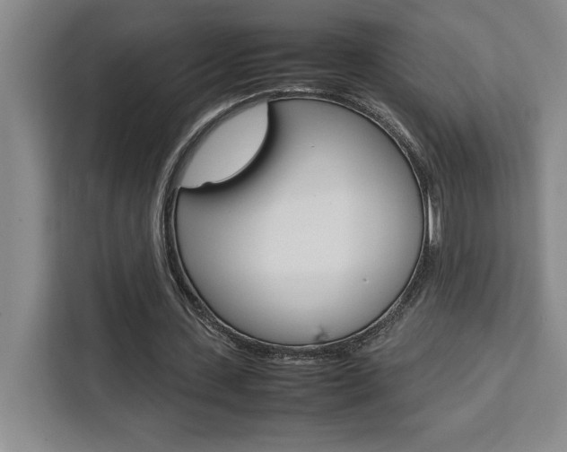 X0000111450531200907131043