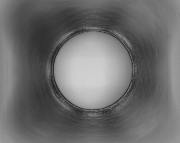 X0000111450533200907131043