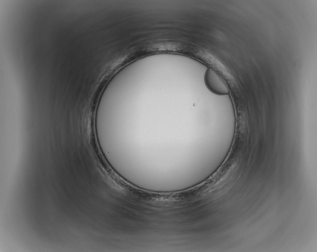 X0000111450537200907131043