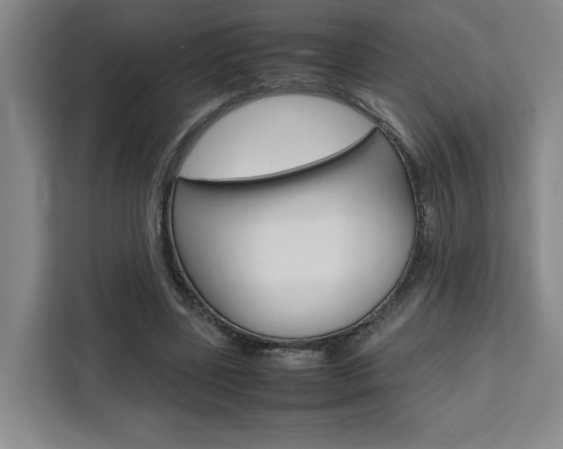 X0000111450539200907131043