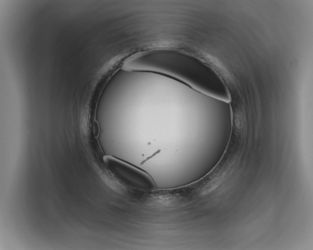 X0000111450540200907131043