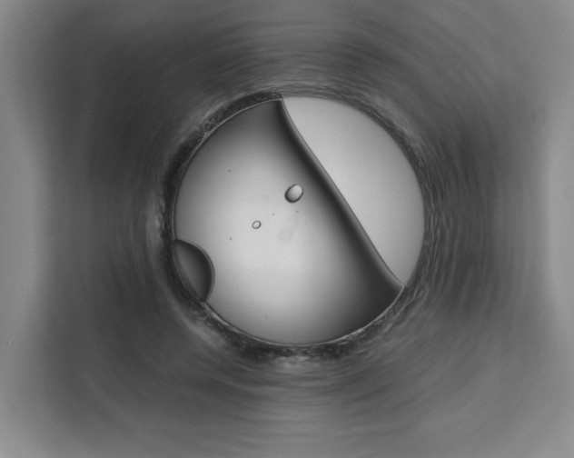 X0000111450544200907131043