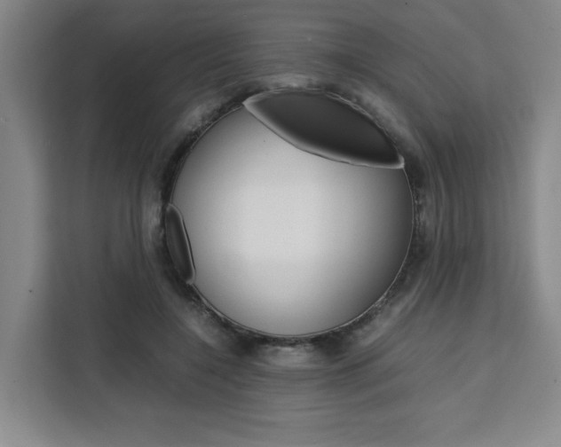 X0000111450548200907131043