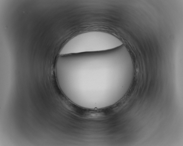 X0000111450555200907131043