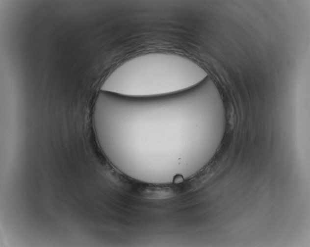 X0000111450559200907131043