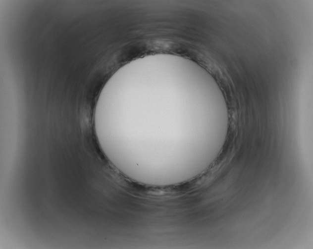 X0000111450561200907131043