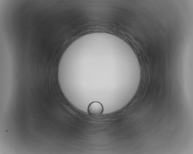 X0000111450564200907131043