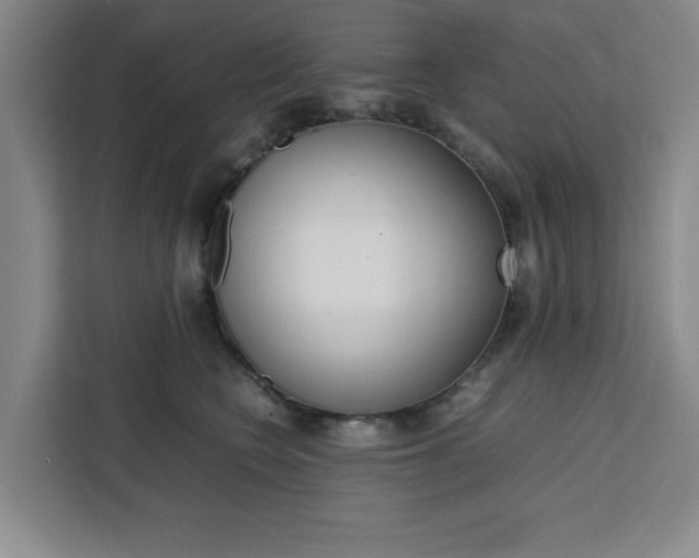 X0000111450566200907131043