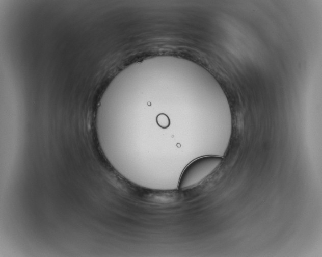 X0000111450567200907131043