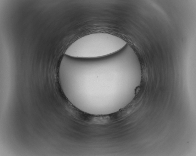 X0000111450571200907131043