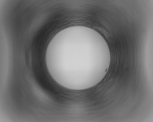 X0000111450572200907131043