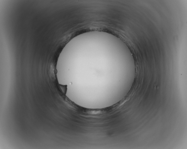 X0000111450575200907131043