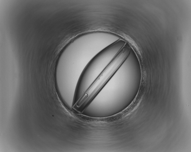 X0000111450577200907131043