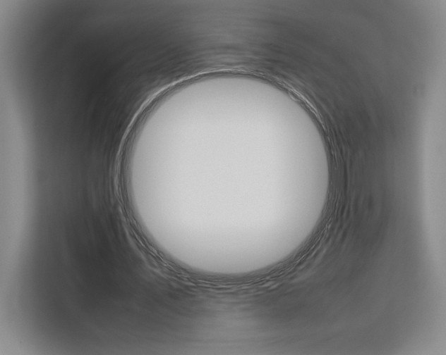 X0000111450579200907131043
