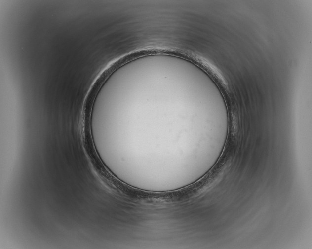 X0000111450580200907131043