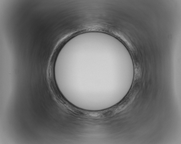 X0000111450583200907131042