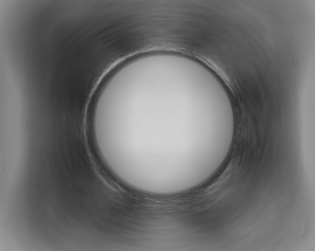 X0000111450584200907131042