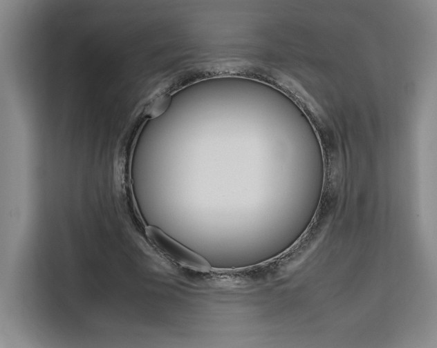 X0000111450585200907131042