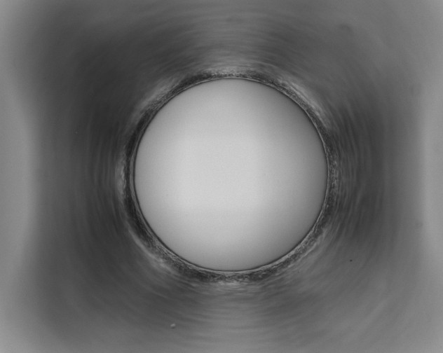 X0000111450586200907131042