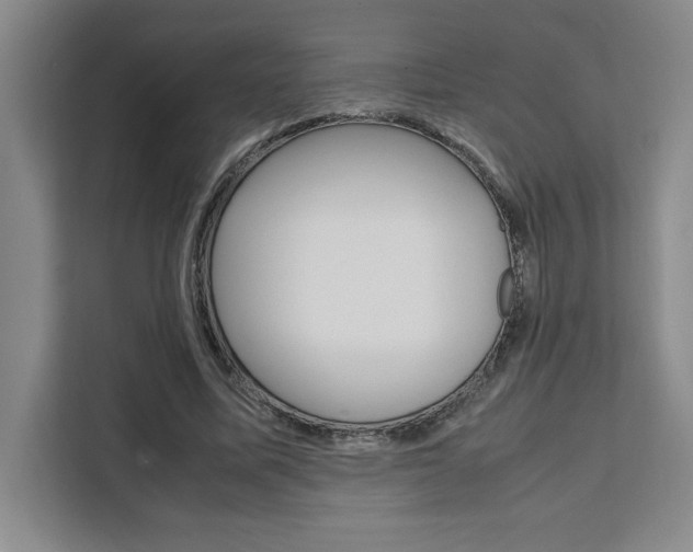 X0000111450587200907131042