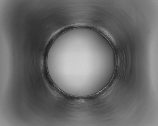 X0000111450588200907131042